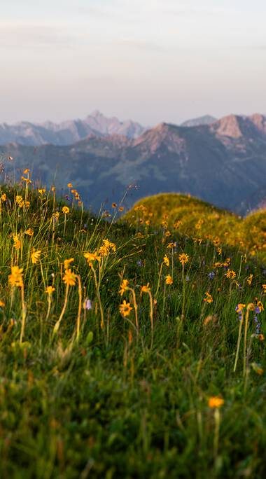 © Kleinwalsertal Tourismus eGen • Fotograf: Erika Dürr